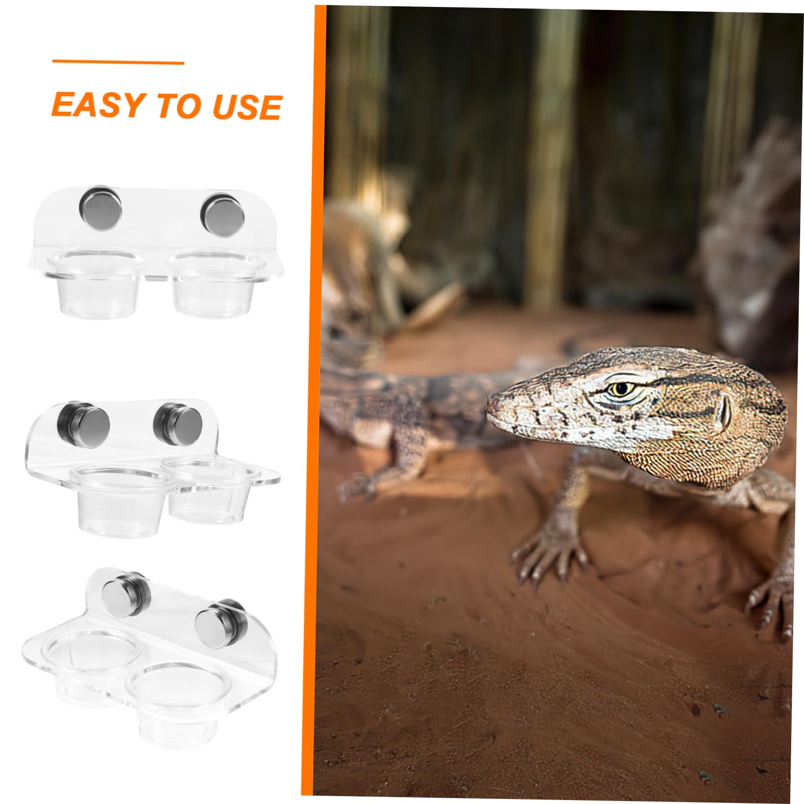 BESPORTBLE 5juegos Comedero Magnético para Reptiles Alimentador De Agua y Comida para Geckos y Tortugas Tazón Duradero y Fácil De Limpiar para Reptiles Pequeños y Arañas