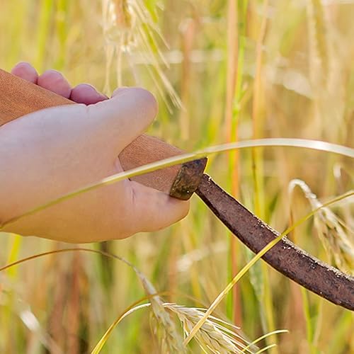 Miniatura 9 de Hemoton Mango de cuchara agrícola Mango de pala de madera de repuesto pala pala hacha de madera varilla palo de jardinería pala agarre para cucharón
