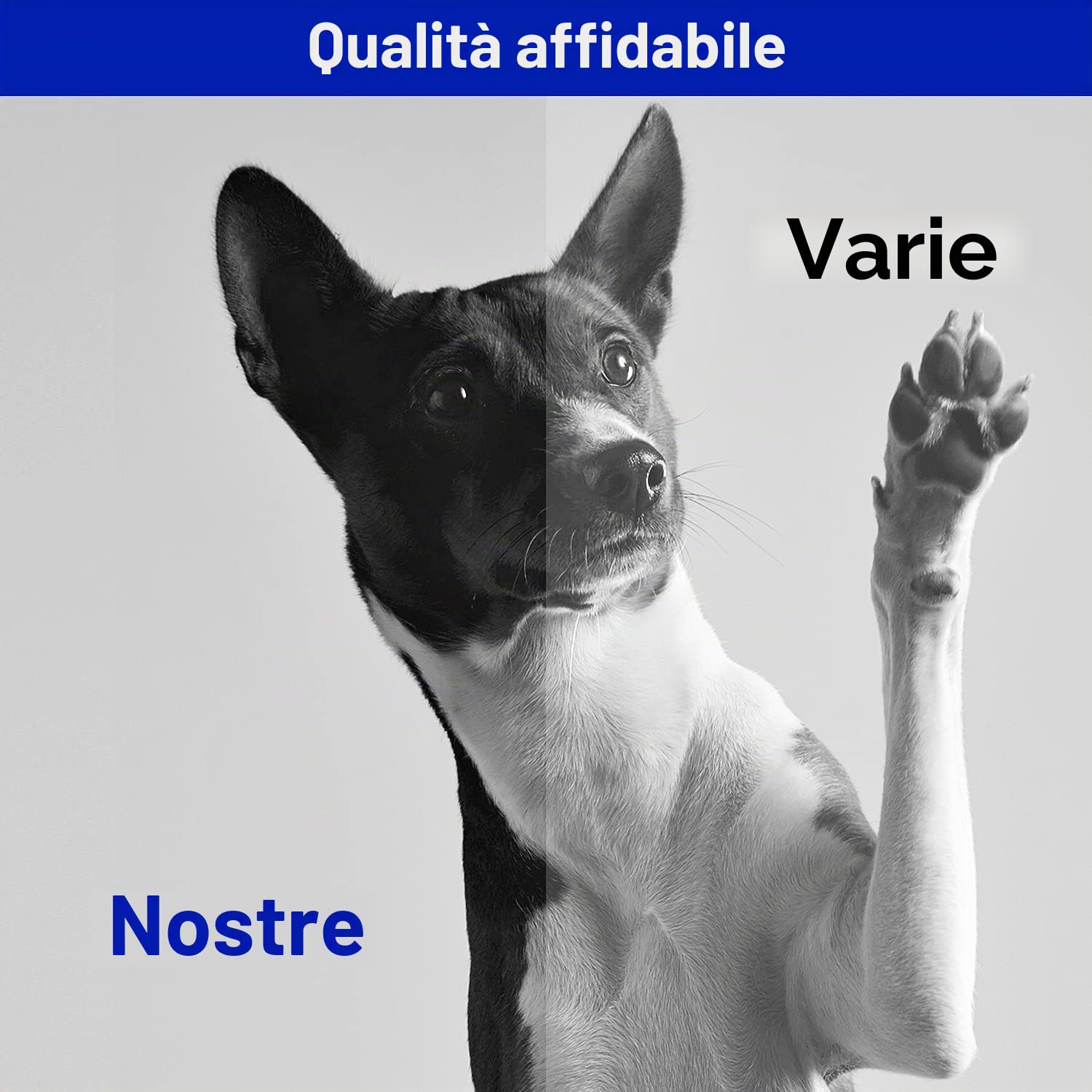 Koala Compatibili Cartuccia Toner Sostituzione per HP 44A CF244A Multipack per HP LaserJet Pro MFP M28a M28w M28 M15a M15w M15 Stampante (Nero, Pacco din 2)