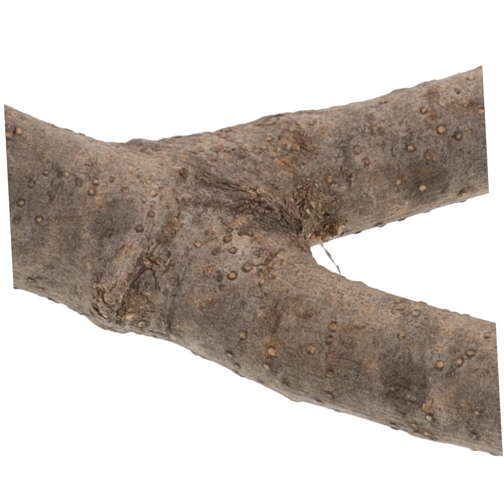 BESPORTBLE 5pièces Perchoir pour Oiseaux Naturel avec Support Alimentaire Plateforme pour Perruches Et Oiseaux Exotiques Accessoire Pratique