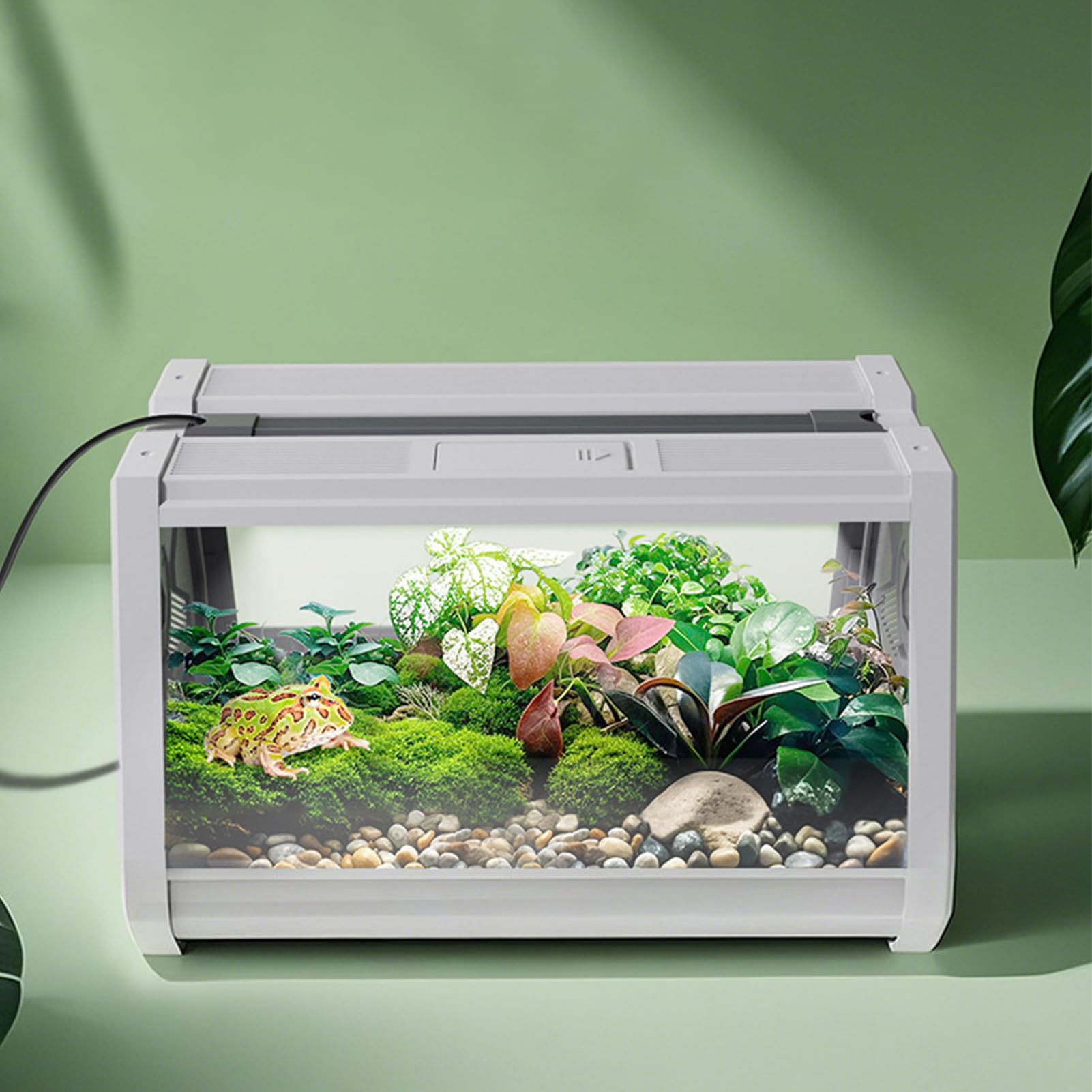 Recinto Per Rettili Vasca per Animali Esotici | Recinto Viaggio Portatile Antifuga Con Ventilazione Per Tartarughe Rane E Lumache