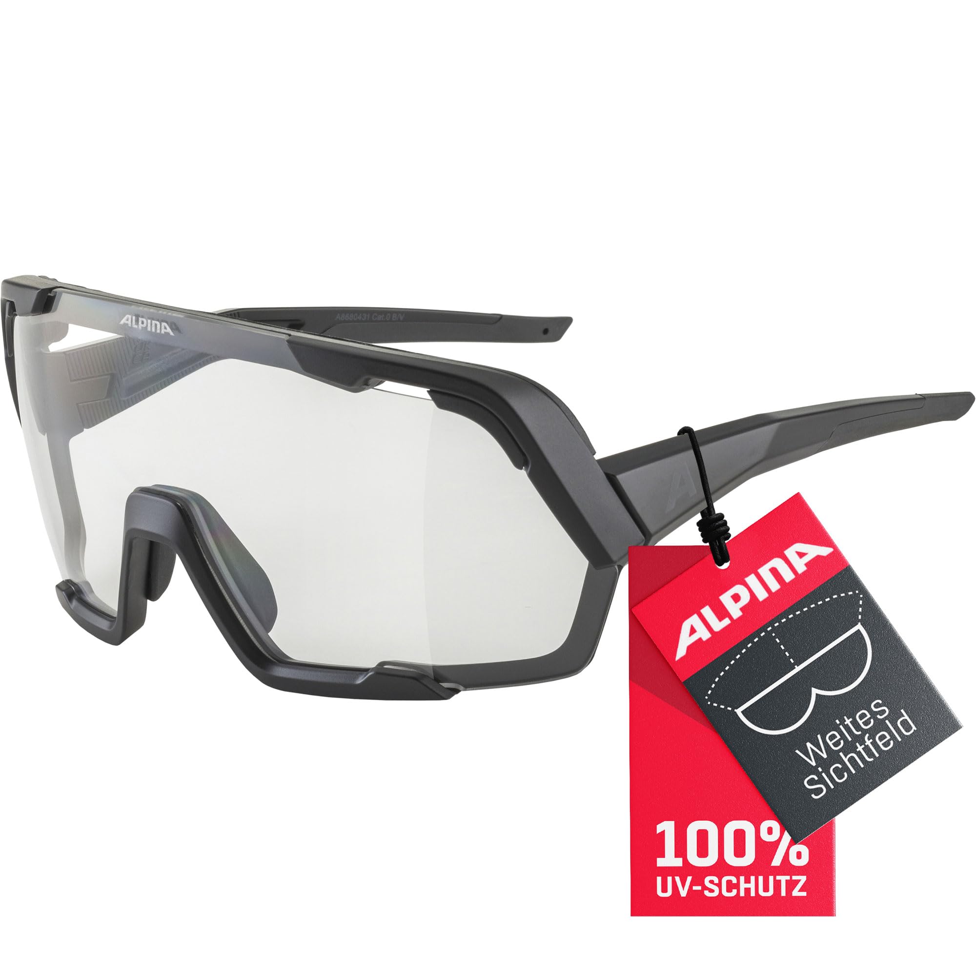 ALPINA Unisex Rocket Bold Sunglasses (pack of 1)
