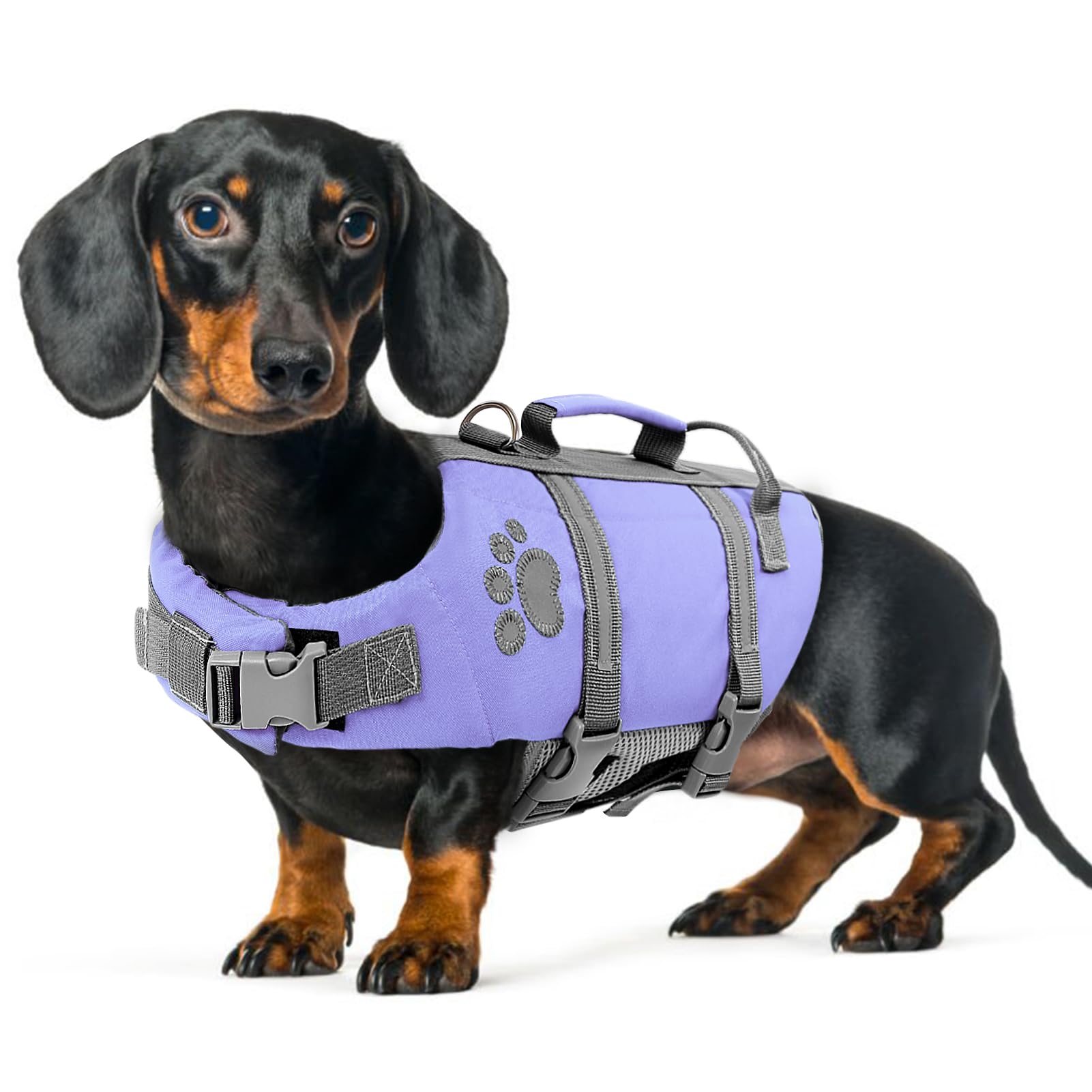 Queenmore Hunde Schwimmweste, Reflektierende Schwimmweste Dackel, Rettungsweste Hund Mittel, Dackel Hundeschwimmweste Französische Bulldogge, Hunde Schwimmweste Kajak, Lilac, M