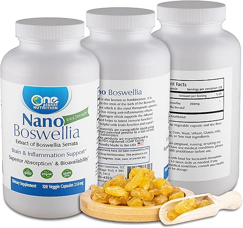 One Planet Nutrition Nano Boswellia - Cápsulas vegetales de 250 mg (120 porciones), resina Boswellia serrata, apoya la función cognitiva para la