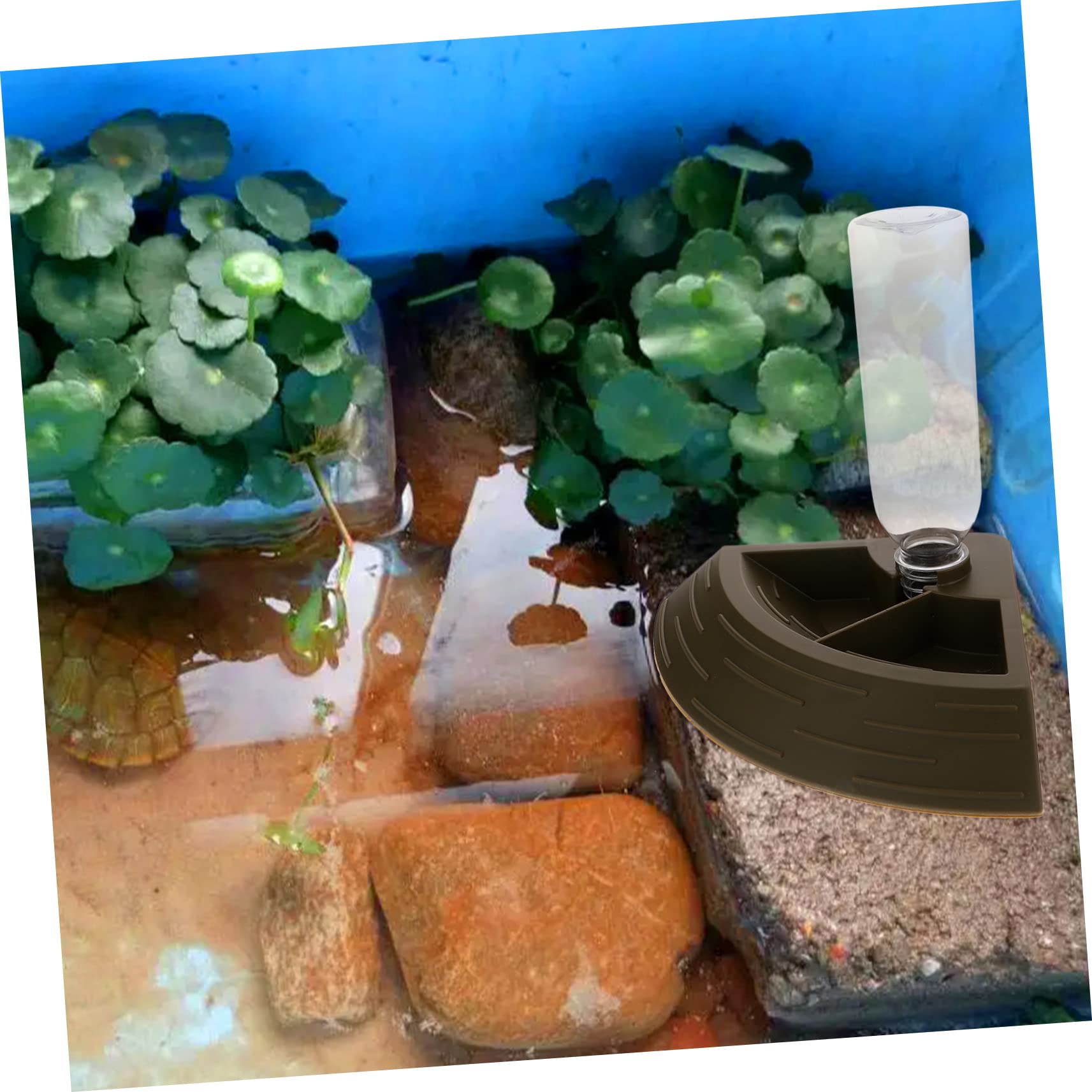 Yardwe 2 Piezas Bebedero para Mascotas Dispensador De Agua Automático Bol Terrarios De Reptiles Reptil Terrario Bebedero para Perros Cuenco De Agua De Serpiente Tortuga Green El Plastico