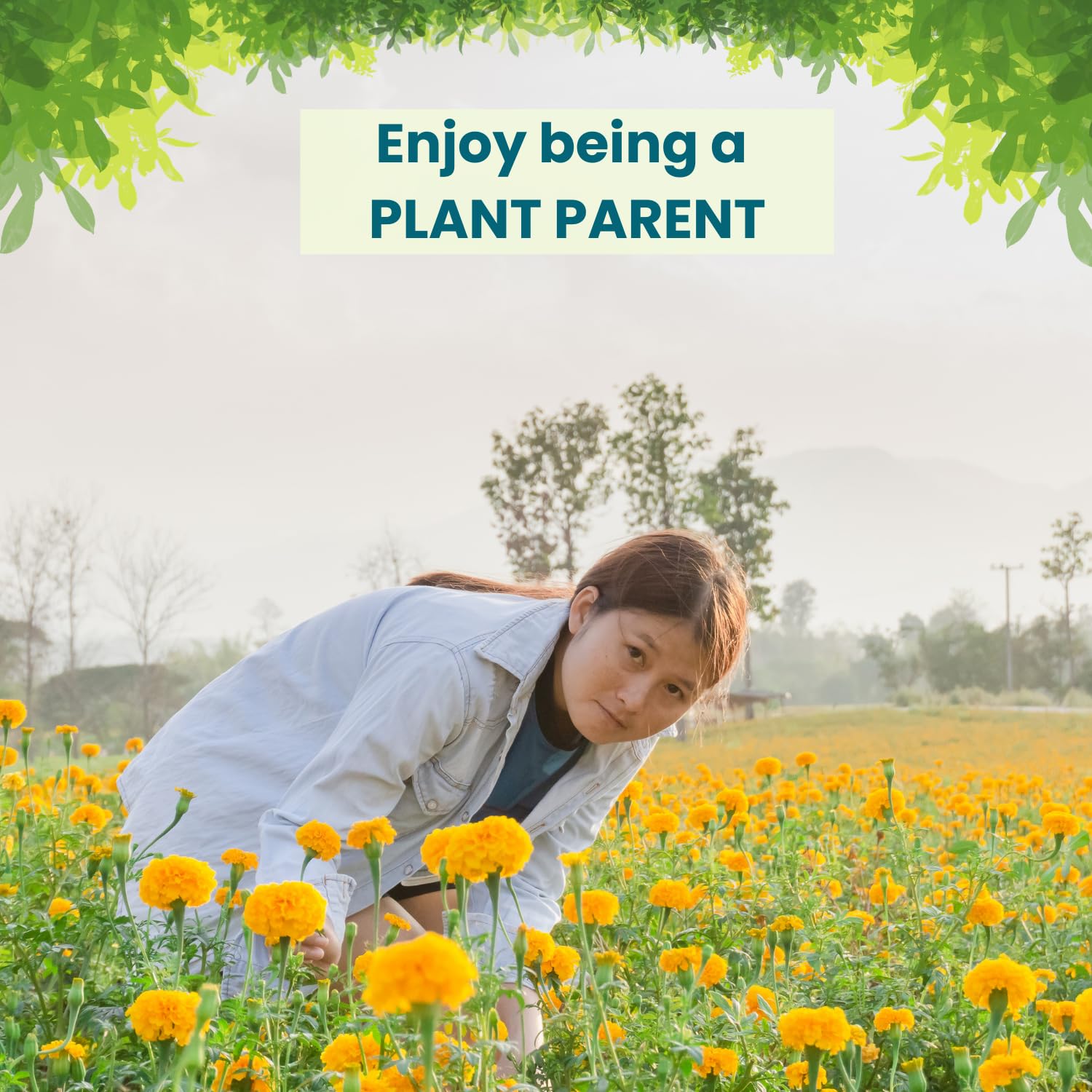 Pot and Bloom Marigold Grow Kit with Garden Essentials for Home Garden 3