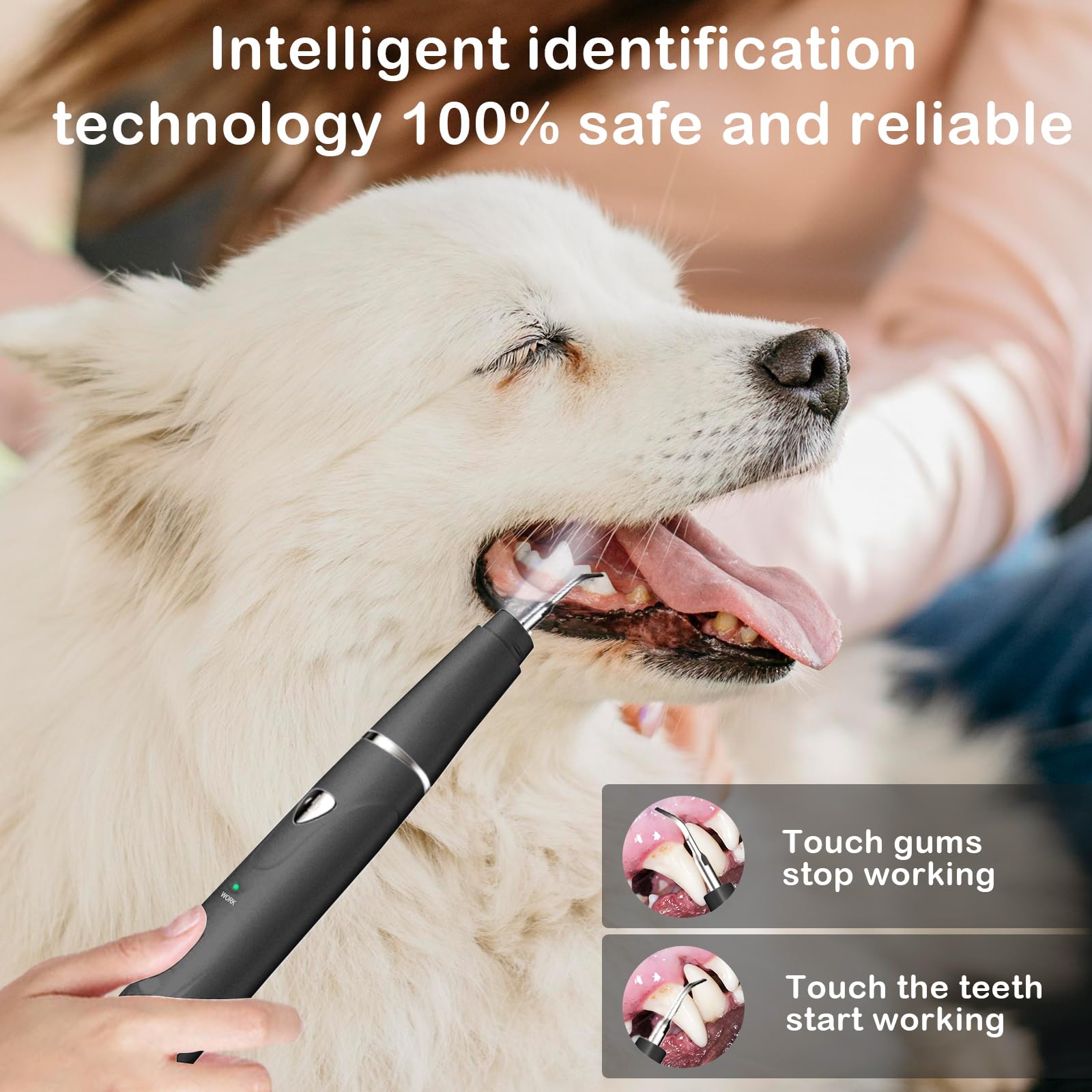 Psytpusa Dental Plaque Remover Tool——Dog Teeth Cleaning Kit?Dental Scraper for Tartar and Plaque 3 Cleaning Moder USB Charge Teeth Cleaning Tools with LED Light(Black 01)