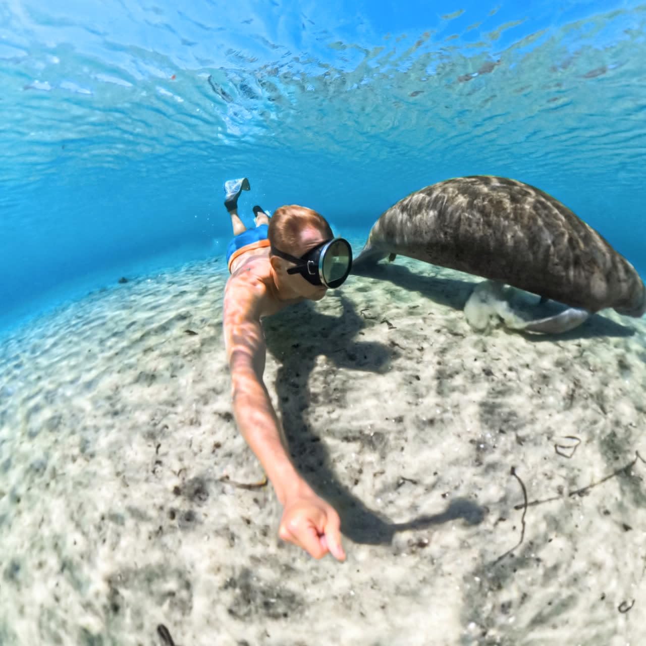 Insta360 Custodia invisibile per immersioni X5