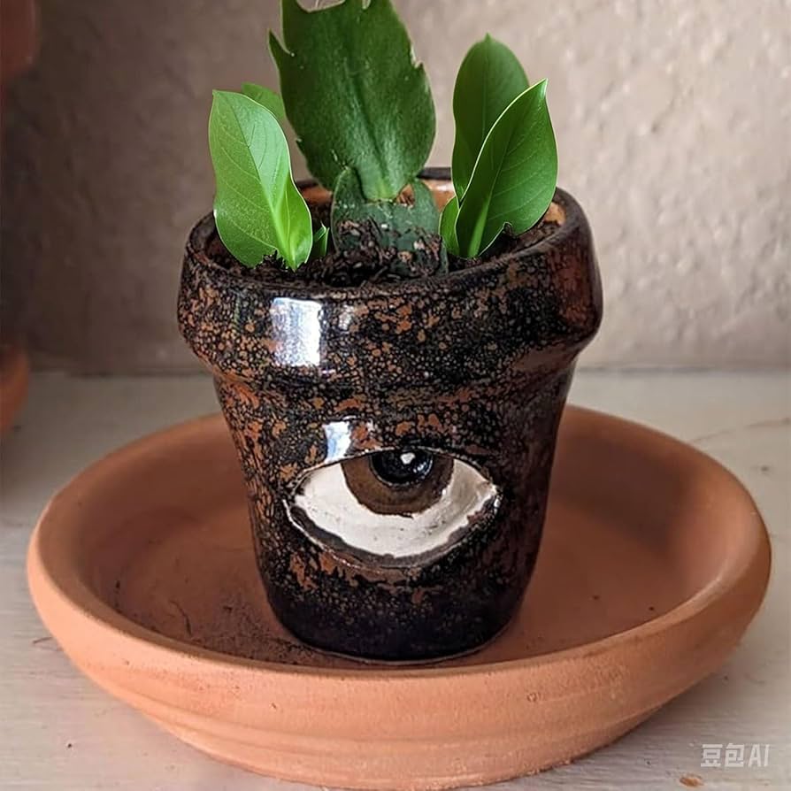 Amazon.co.jp: 手作りの泣いている植木鉢 – 喜びの涙を浮かべた