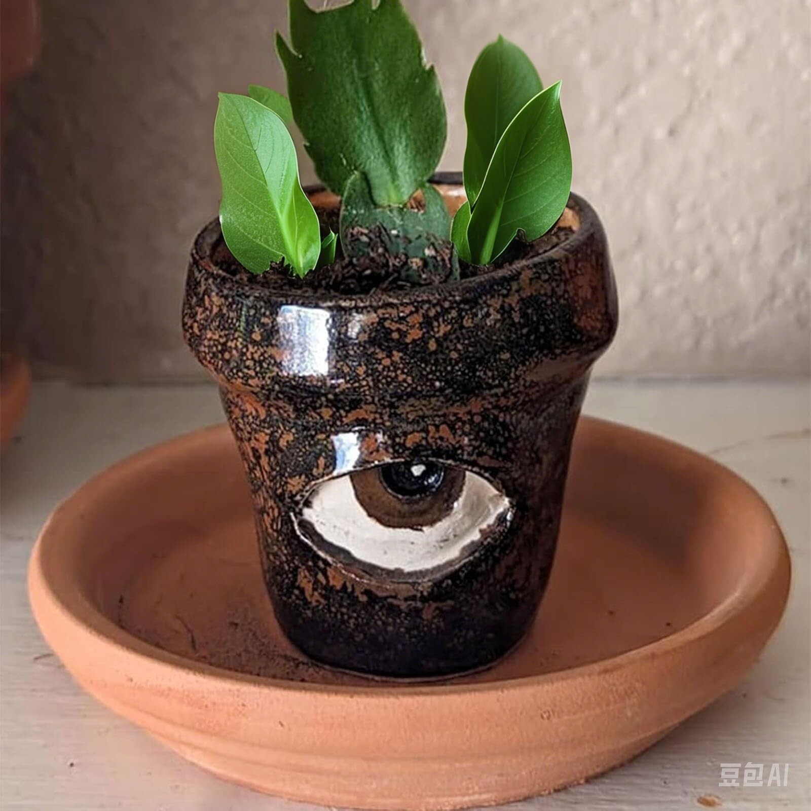 Amazon.co.jp: 手作りの泣いている植木鉢 – 喜びの涙を浮かべた面白い