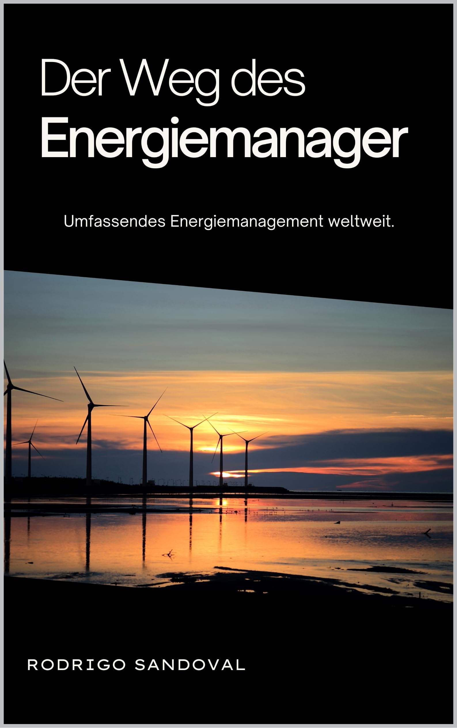 Der Weg des Energiemanager: Umfassendes Energiemanagement weltweit. (Energiewende 1)