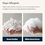 Pacific Coast Bed Pillow, Hotel Collection Goose Feather and Down Firm Pillow for Sleeping, 3-Chamber Design, Soft and Supportive (King (Pack of 2))