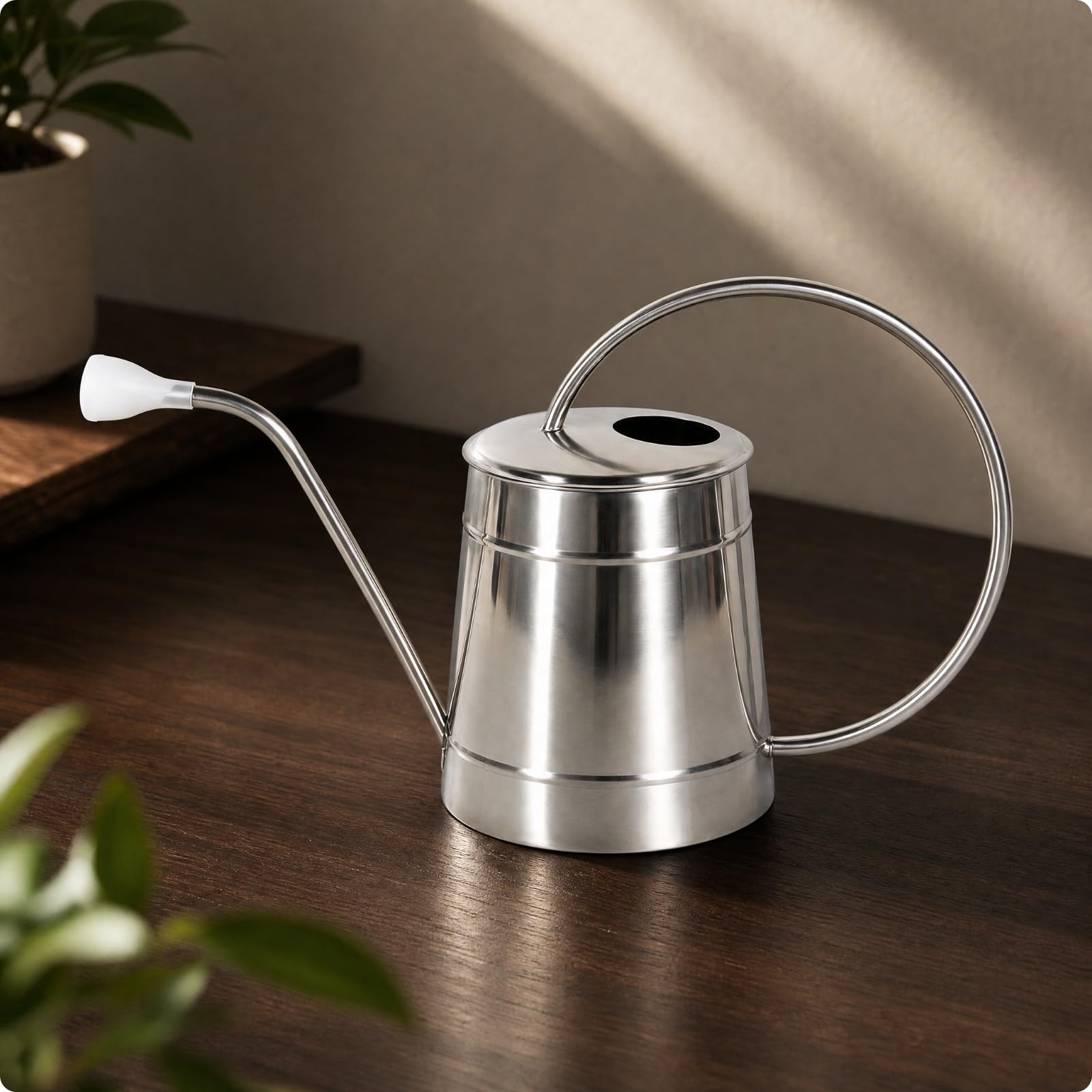 Annaffiatoio in Acciaio Inox con Beccuccio Lungo Beccuccio Esteso Ergonomico per Giardino Verde, Terrazza, Davanzale, 2.5L, con Testa Irrigante