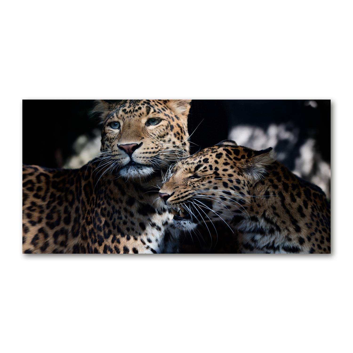 Mural Art Image Verre Plastique marron pour salon moderne 140x70