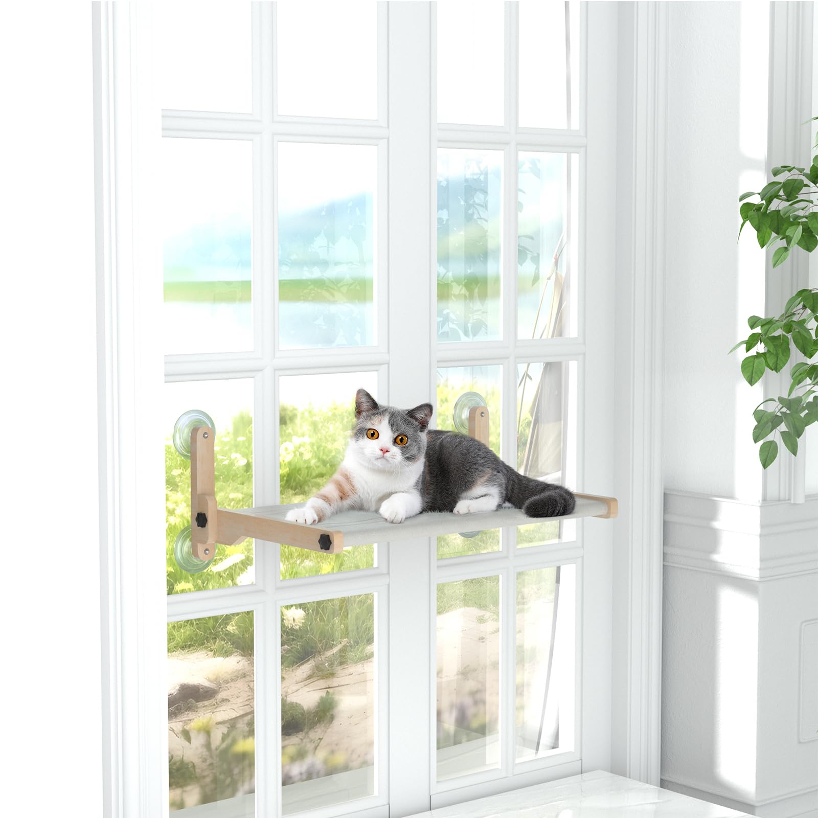 Foldable Cat Window Bed, Solidwood Cat Window Perch with Suction Cups, Heavy Duty Cordless Hammock Seat for Indoor Cats (Large Size) - image 8