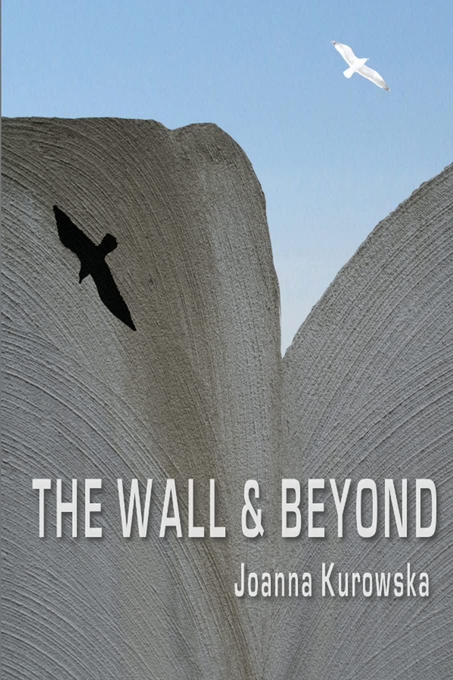 The Wall & Beyond 9781482371178 Kurowska, Joanna Books