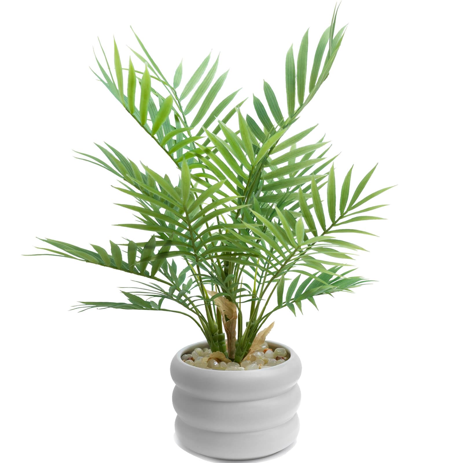 Amazon｜WillingYou フェイクグリーン 卓上 人工観葉植物 熱帯ヤシ