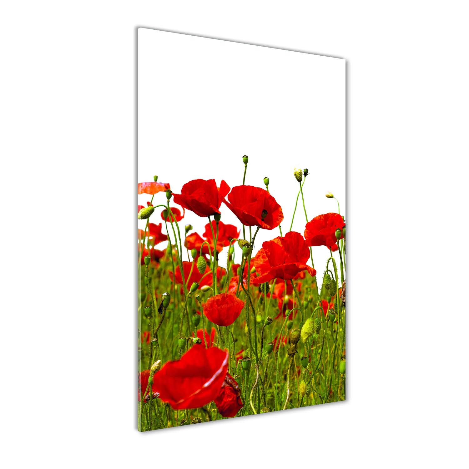 Décoration murale en verre trempé 70x140cm tableau haut de gamme fleur