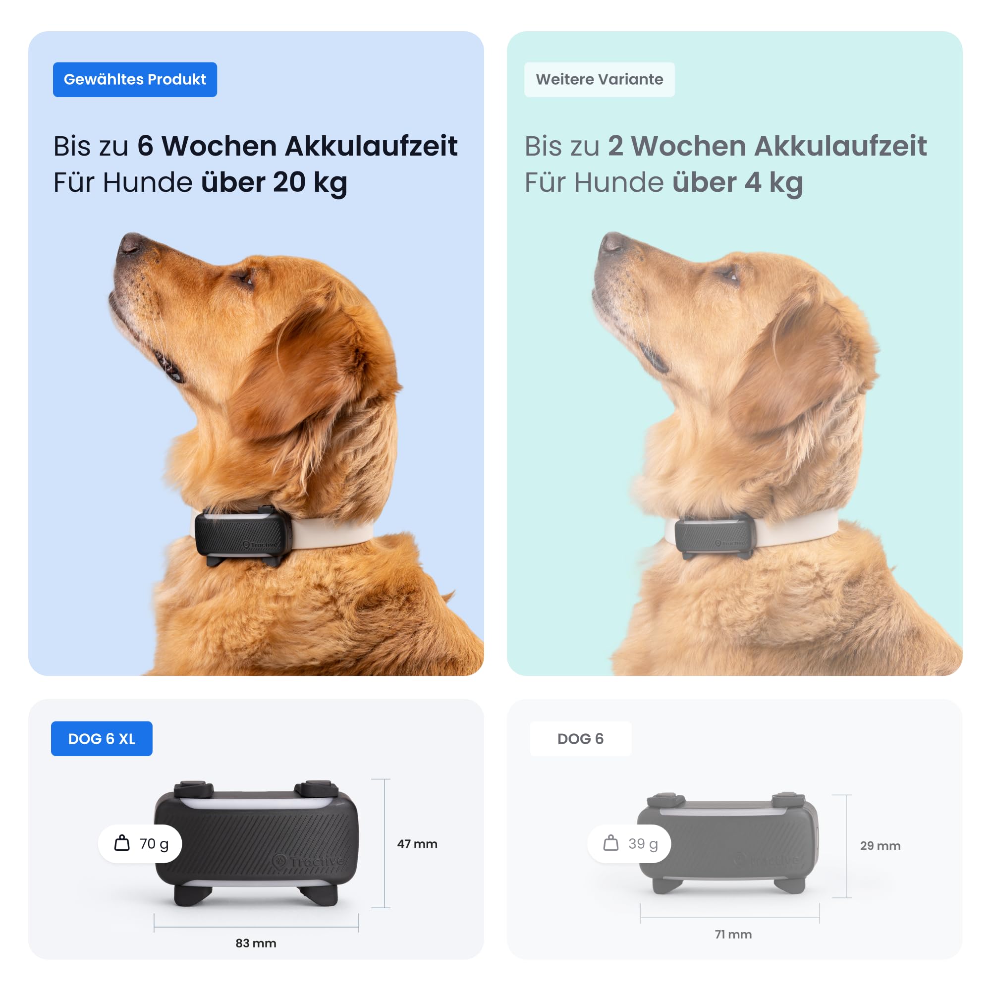 Tractive XL Smarter Hunde GPS Tracker | Modell 2026 | Live-GPS-Ortung | Weglaufalarm & Gesundheitswarnungen | Überwachung der Vitalwerte | Lange Akkulaufzeit | Empfohlen von Martin Rütter (Schwarz)