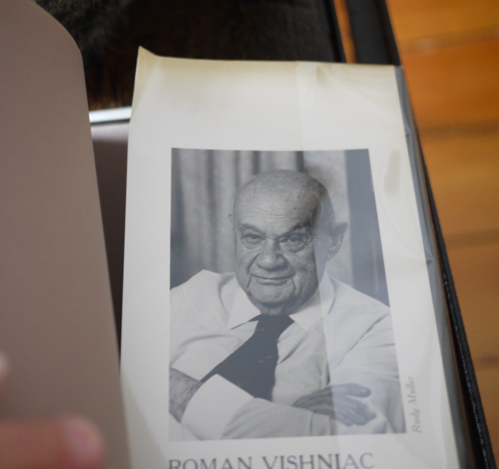 A Vanished World
