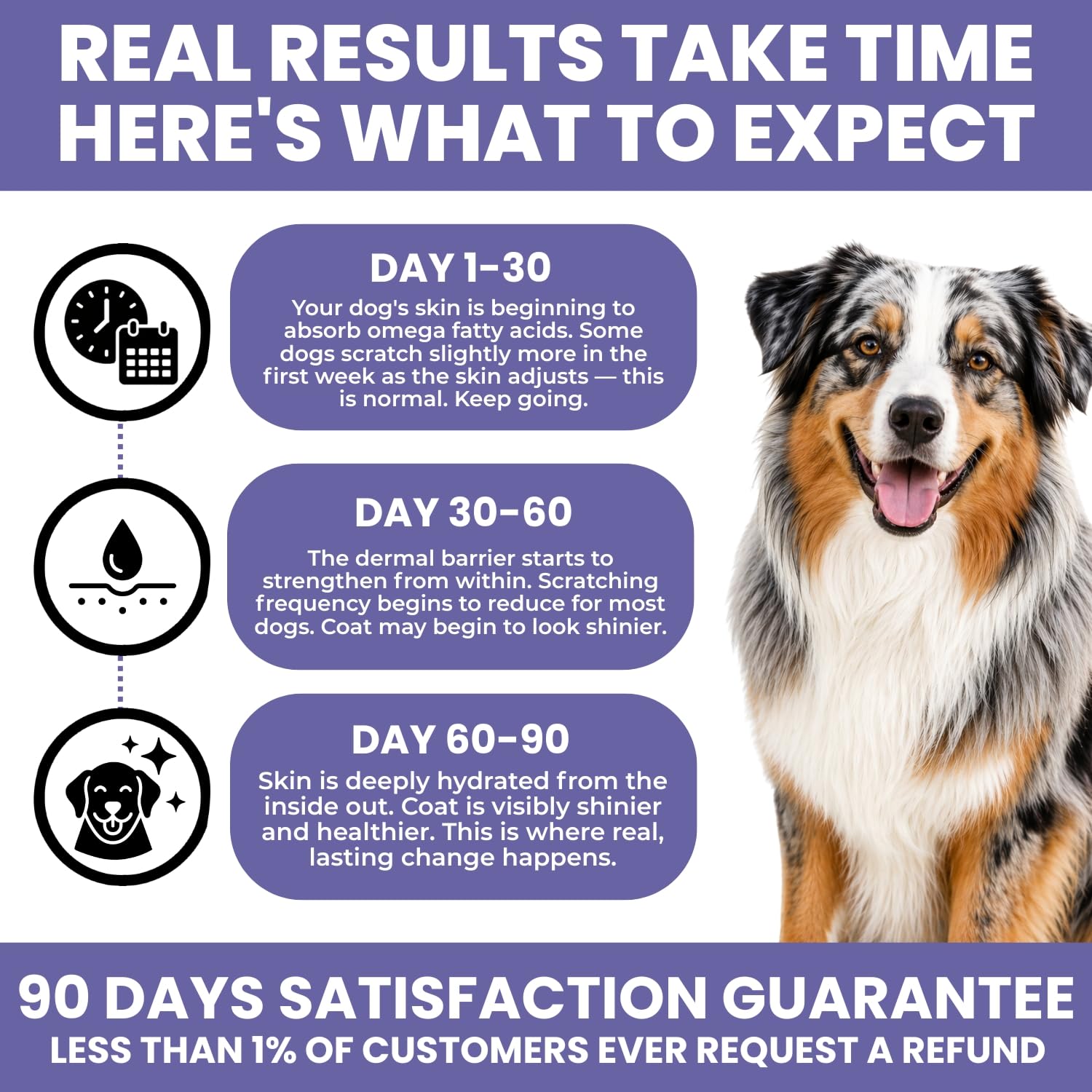 Skin & Coat Supplement for Dogs - Omega 3 6 9 Fish Oil & Vitamin E Soft Chews - Dog Itch Relief, Anti-Shedding & Shiny Coat Support for All Breeds, 90 Count — Amazon image 7