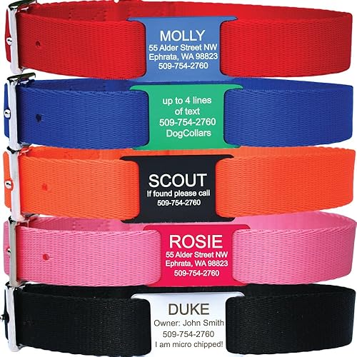 GoTags Collar de perro con placa de identificación deslizante, collar de perro de nailon duradero y placa de identificación personalizada para perro