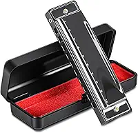 Gaita de Boca Diatônica Harmônica, Harmonica Boca Órgão 10 Furos C Chave com Capa, Mini Órgão de Boca de Gaita, Instrumento Musical de Órgão com Boca