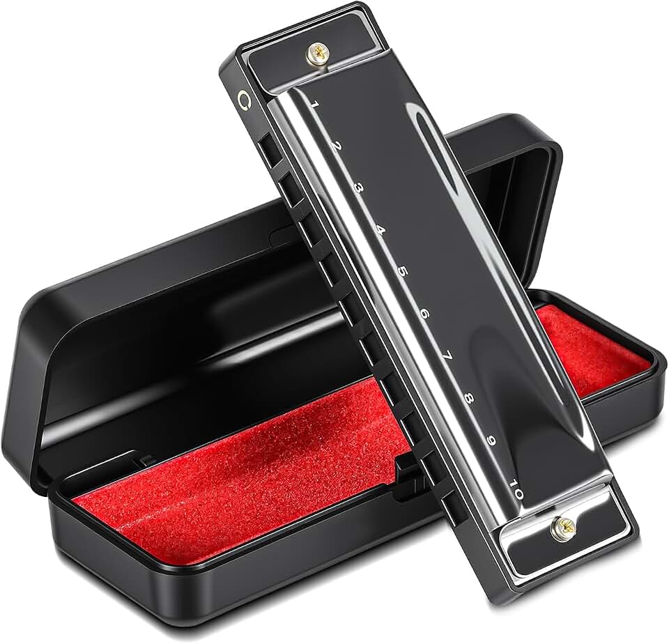 Gaita de Boca Diatônica Harmônica, Harmonica Boca Órgão 10 Furos C Chave com Capa, Mini Órgão de Boca de Gaita, Instrumento Musical de Órgão com Boca