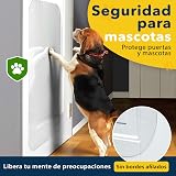 Ver la foto 7