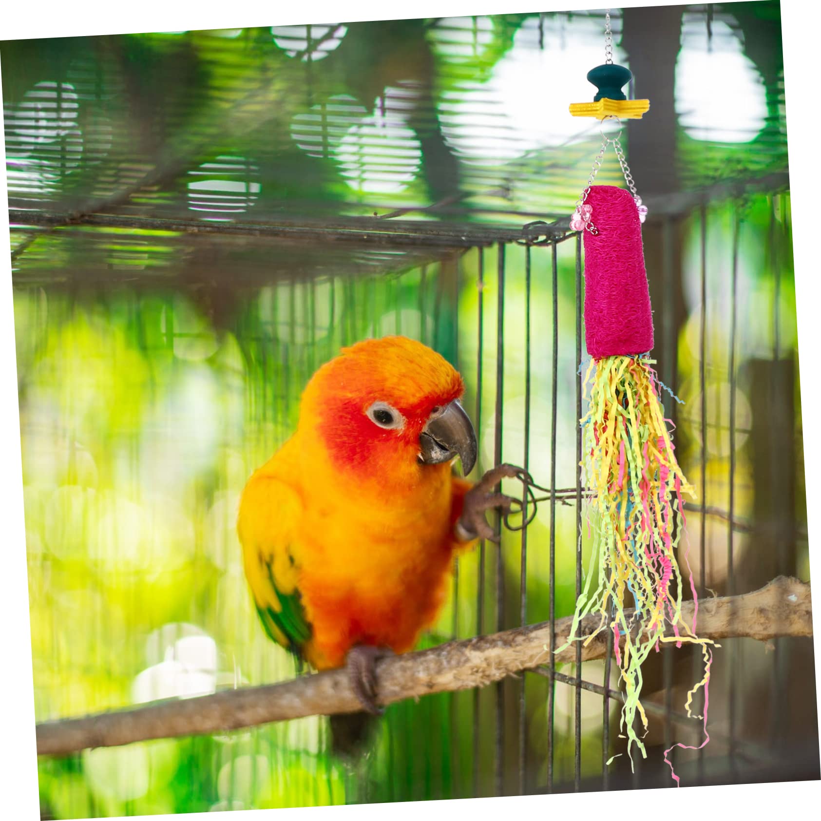 BESPORTBLE 9piezas Juguetes Colgantes para Aves Juguetes Masticables Coloridos para Periquitos y Loros Accesorios Interactivos para Jaulas De Aves