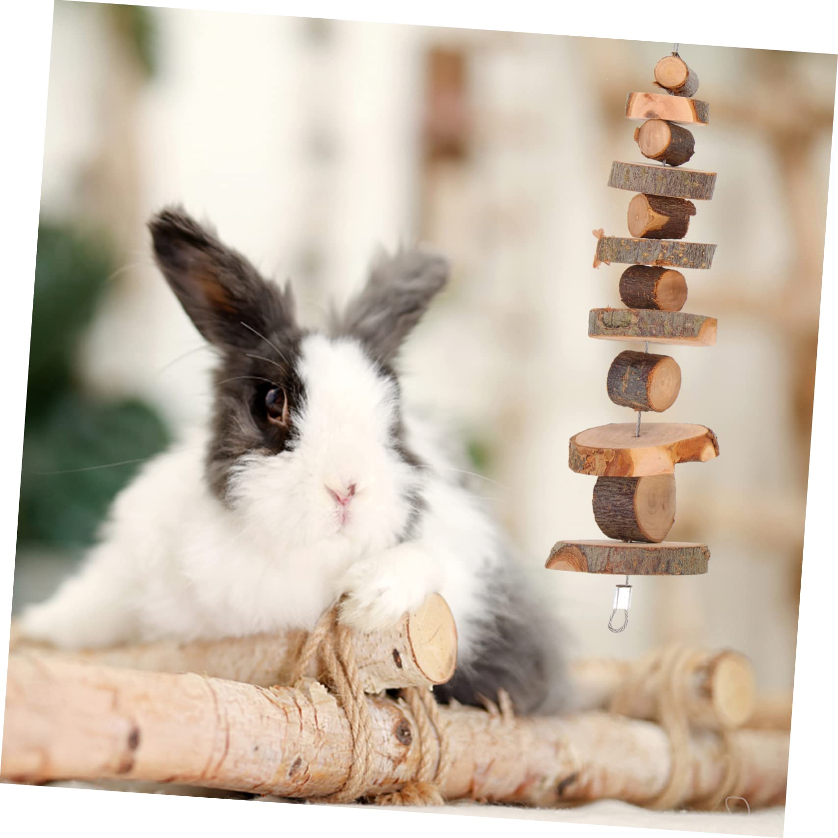 Beavorty 2sätze Kauspielzeug Für Kleintiere Teiliges Holzspielzeug Für Hamster Meerschweinchen Und Kaninchen Für Gesunde Zähne Und Spielspaß Mixed Style