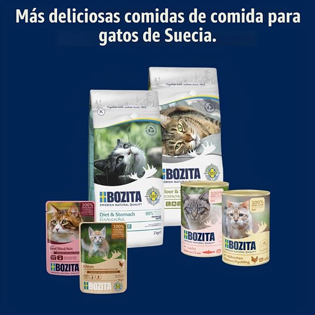 Foto 6 de 6 de BOZITA Mousse Wild Mix 12 x 85 g