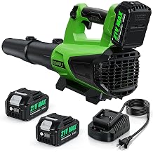 Leaf Blower Cordless, 580 CFM Electric Leaf Blowers with 2 x 4.0Ah Batteries and Charger, Electric Yard Blower with Variable Speed &amp; Cruise Control for Lawn Care, Patio, Dust, Blowing Leaves