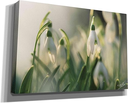 Miniatura 6 de Epic Graffiti 'Snowdrops' de Martin Podt, arte de pared en lienzo, 18 x 12 pulgadas