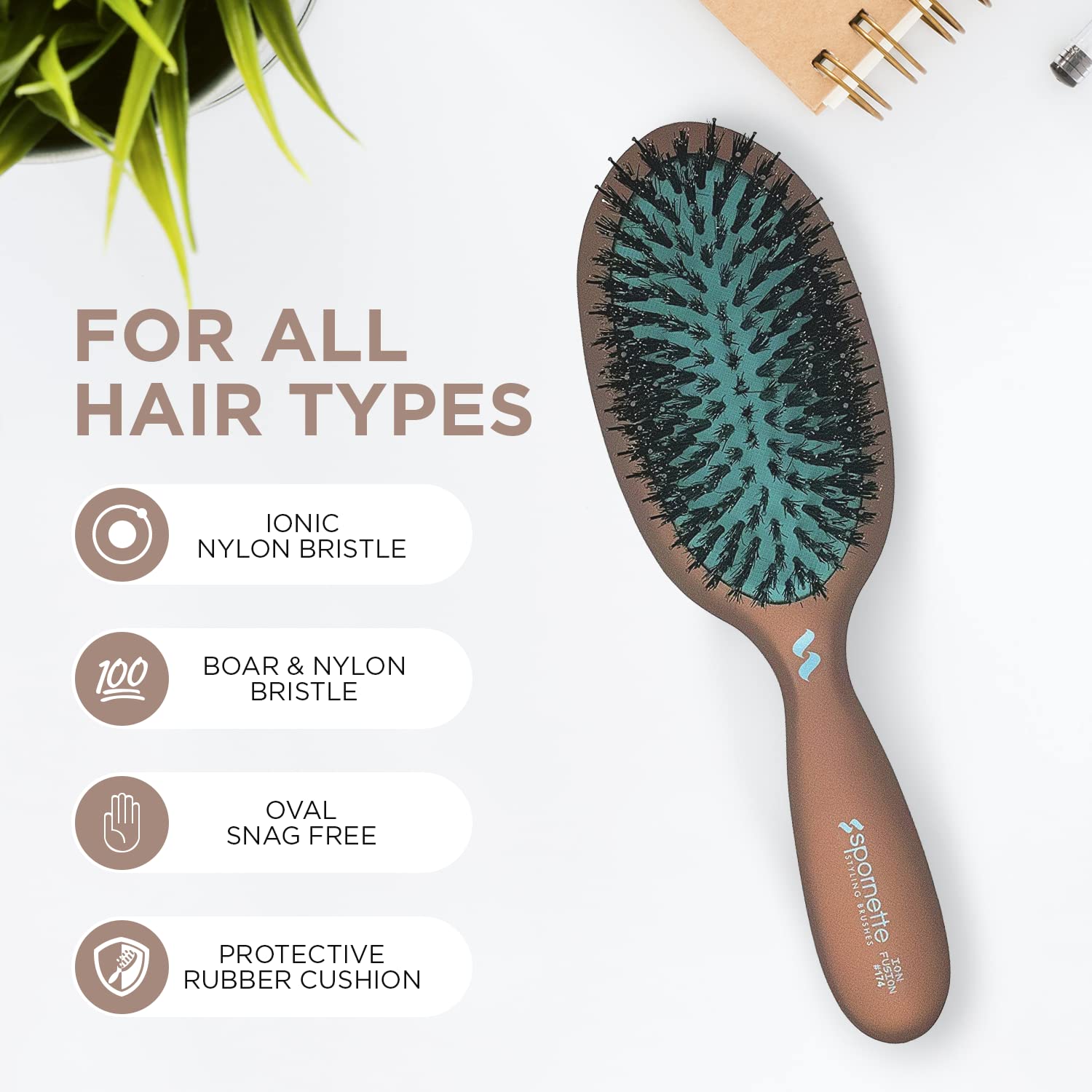 Amazon.com : Spornette Ion Fusion Cushion Oval Brush - Boar