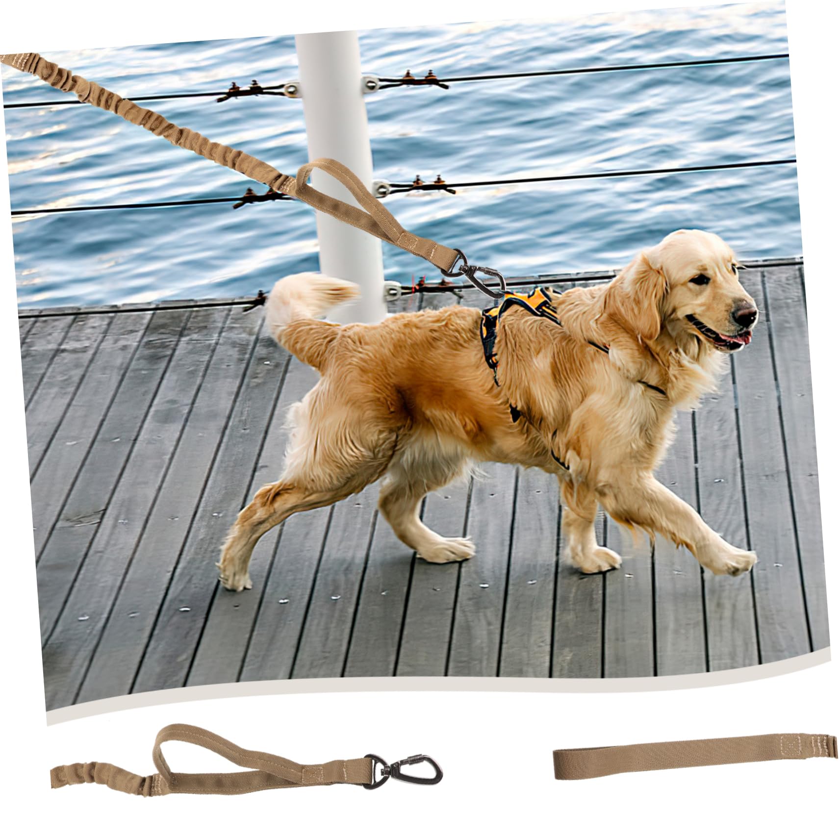 INOOMP 3 Pz Guinzaglio Per Addestramento Del Cane Animale Domestico Guinzagli Ad Anello a Catena Cinghia Guinzaglio Di Corda Elegante Guinzaglio Per Cani All'aperto Anello Della Catena