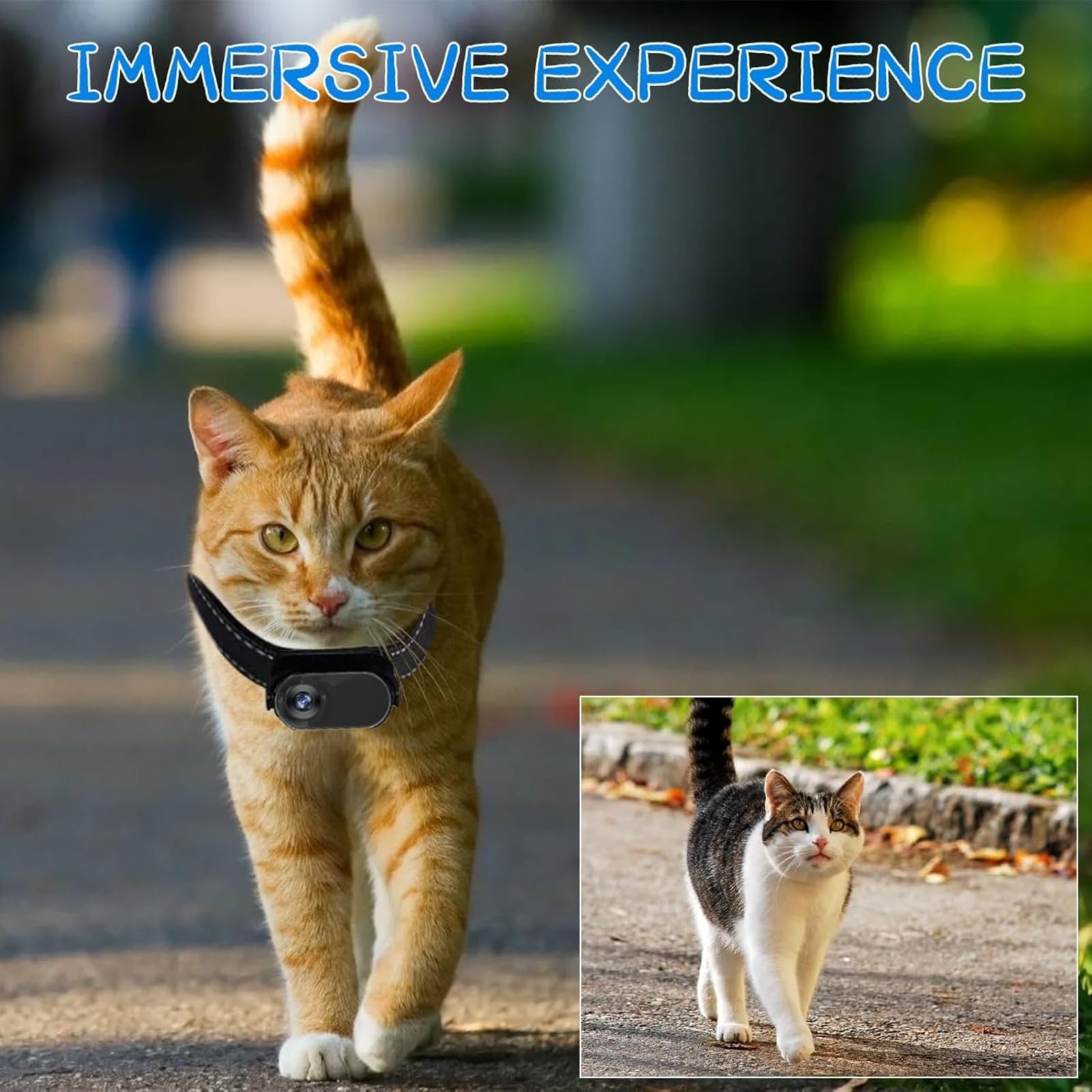 Telecamera da Collare per Cani con Scheda SD da 32 GB, Telecamera WiFi da Collare per Gatti, Telecamera d'azione Senza Fili, Mini Telecamera per Uso Interno ed Esterno
