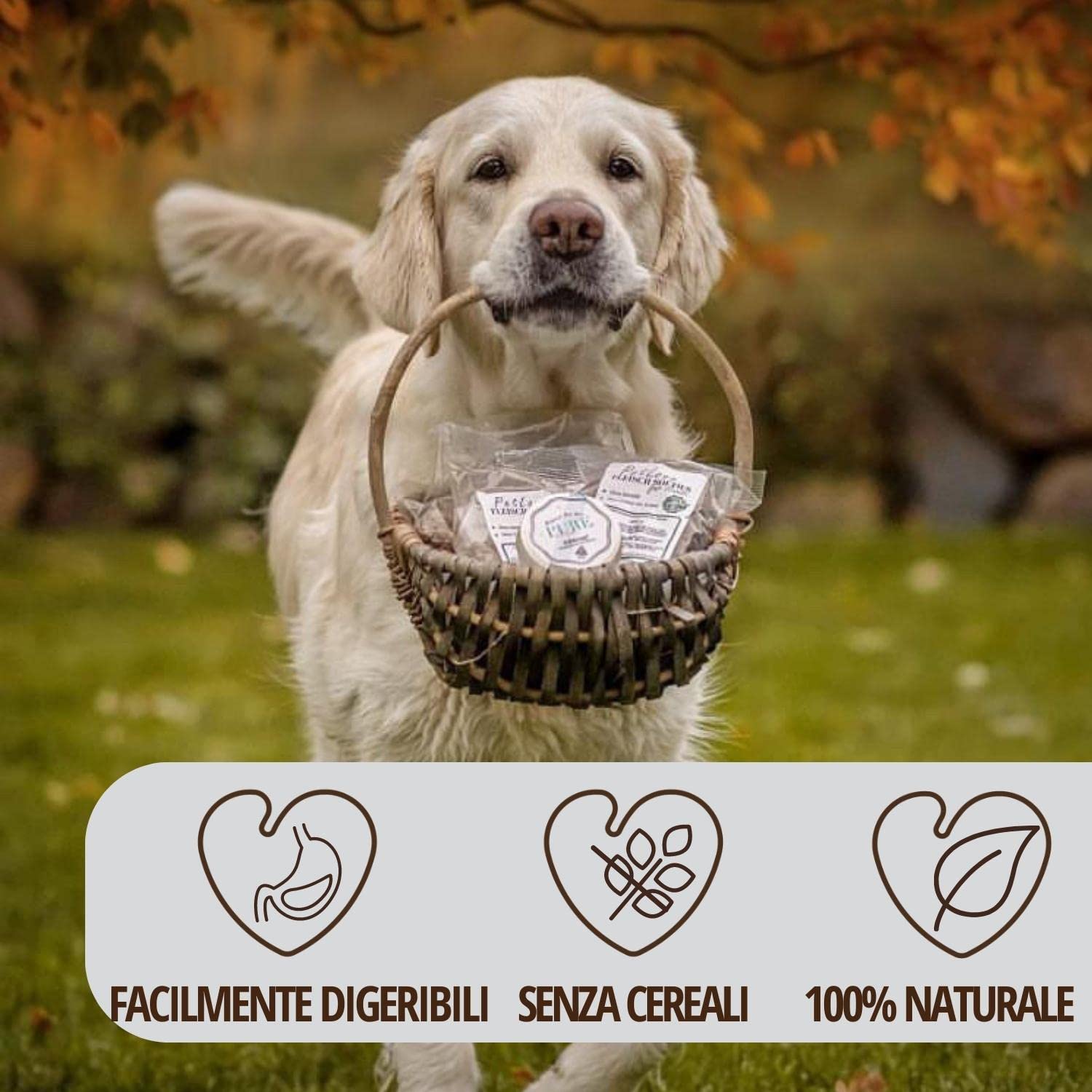 PetLove Croccantini di Carne Morbidi per Cani • Crocchette per Cani Senza Cereali • Contenuto di Carne 63% • Snack per Allenamento Cani • Mix Carni (Oca, Salmone, Coniglio, Struzzo) • 24 x 200 g