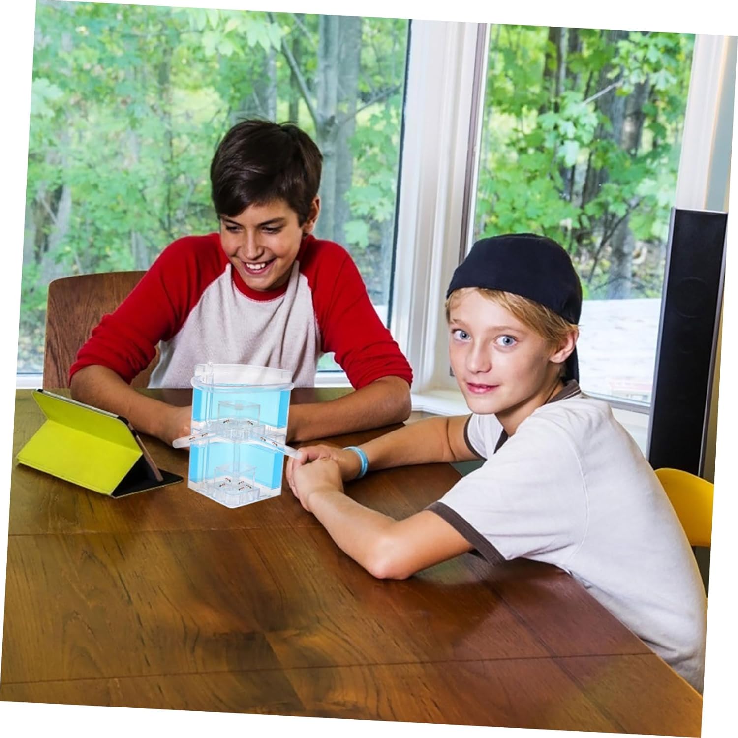VOSAREA Ant Nest Observation Box Double Ant Habitat for Science Experiments Plastic for Boys and Girls