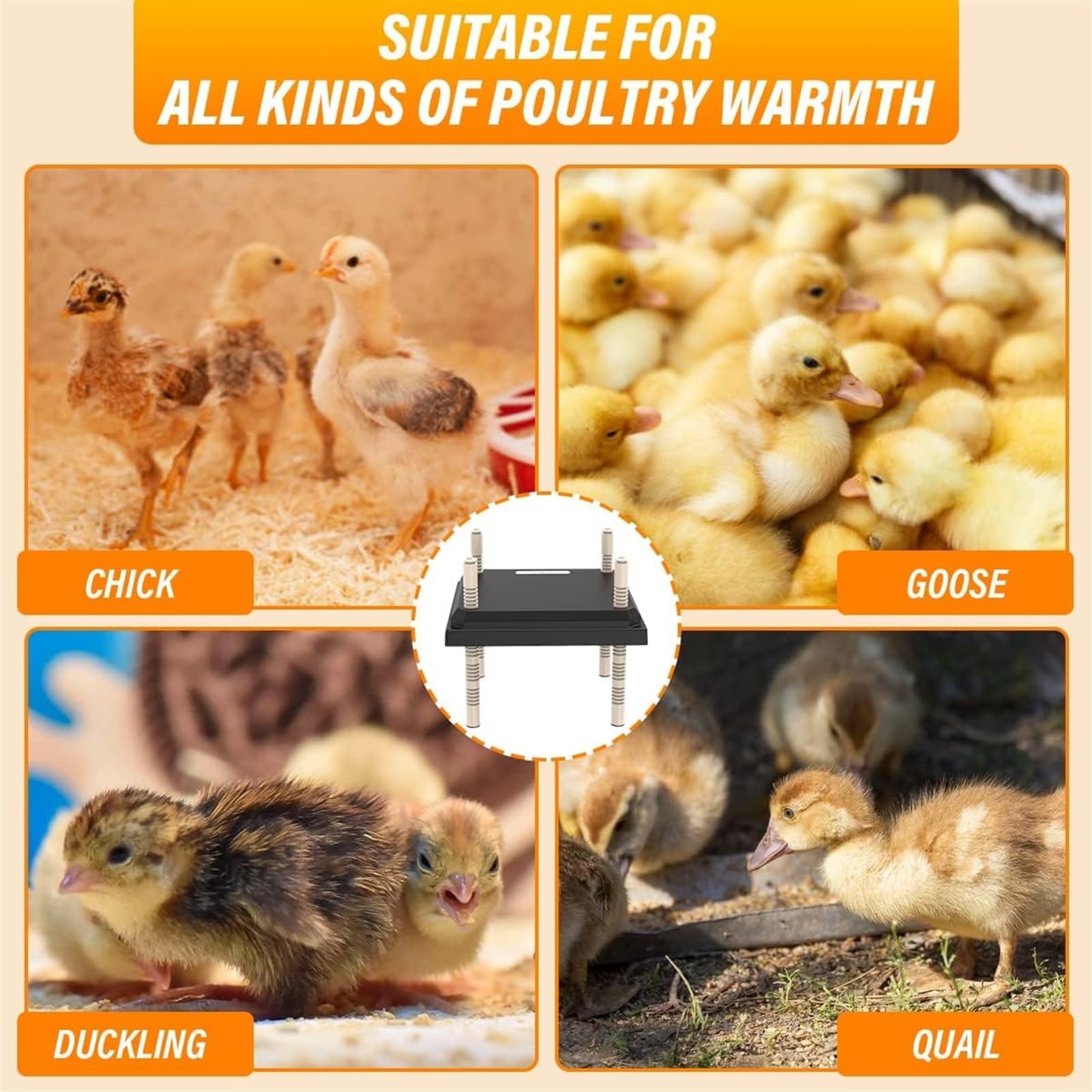 Placa Calefactora Para Criadora De Pollitos De 12 × 12 Pulgadas, Calentador De Pollitos De Altura Ajustable Para Hasta 20 Pollitos, Patitos Y Pájaros