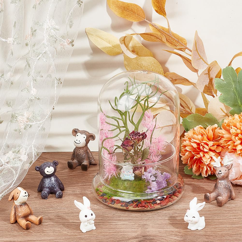 NBEADS Glaskuppel Mit Kamelholzsockel – Transparente Vitrine Für Pflanzen, Blumen, Fotos, Medaillen (10,4 X 19,1 Cm)