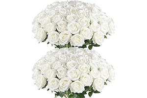Hananona Artificial Roses - 50 Pack White
