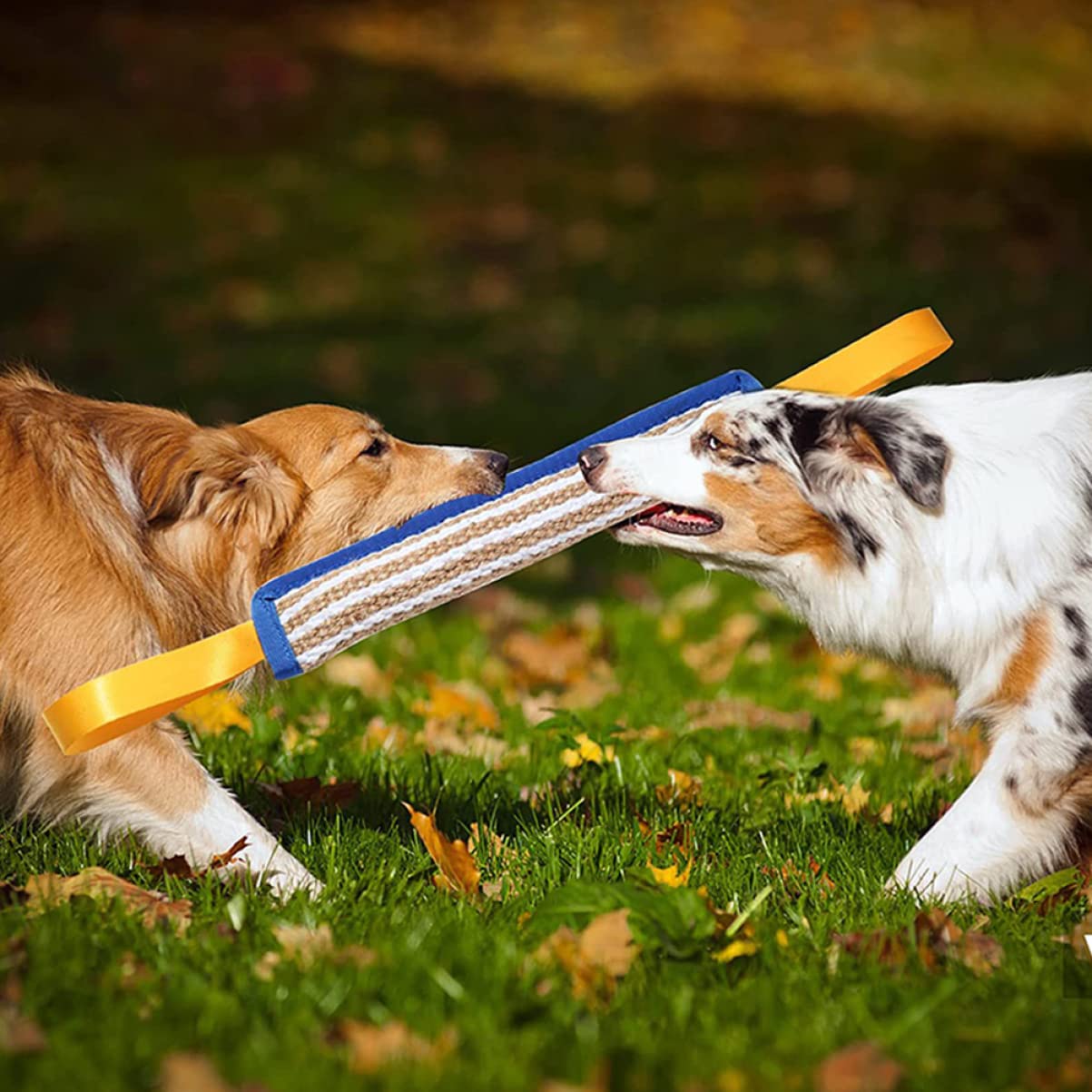 Happyyami Hunde Trainingsspielzeug 40cm zum Beißen und Apportieren