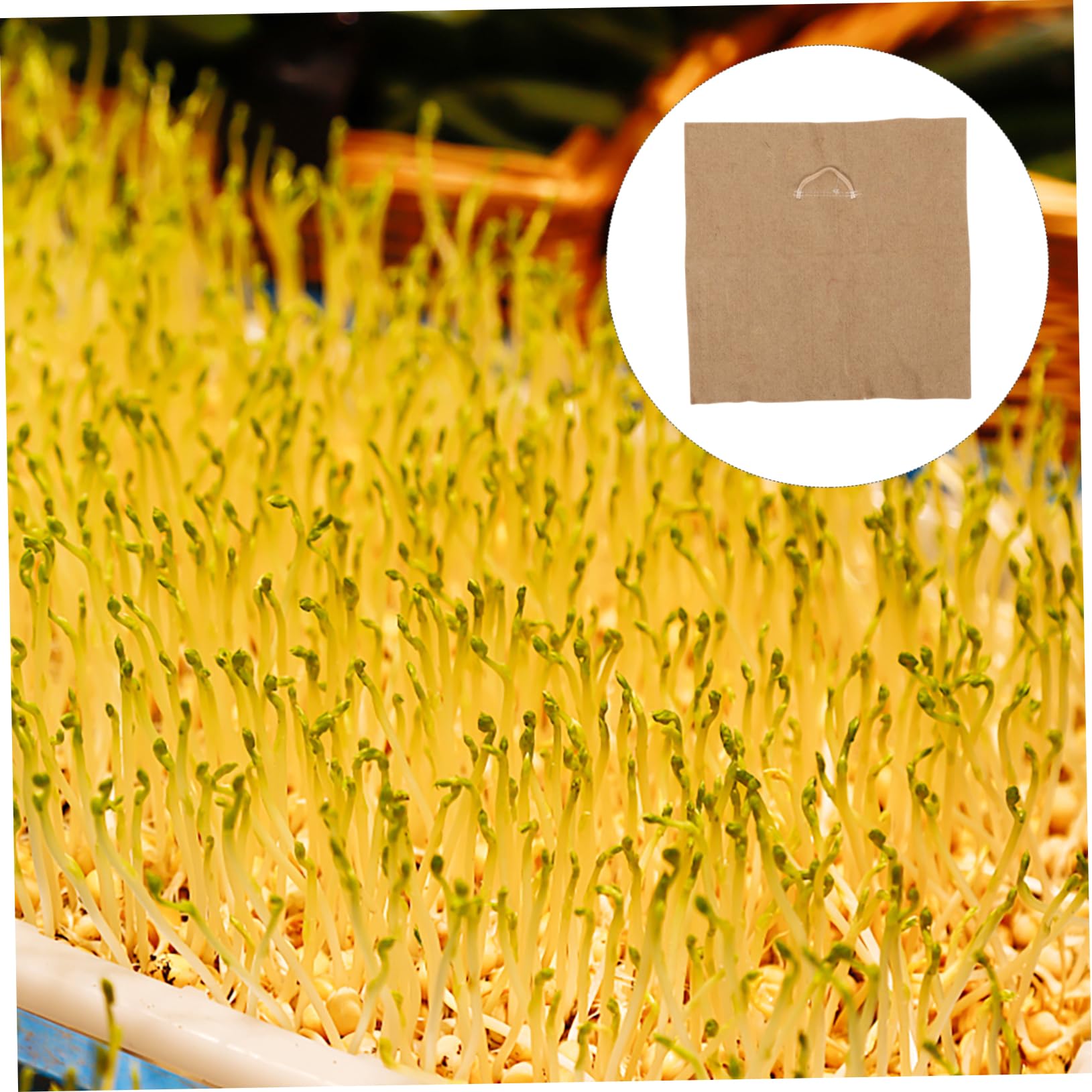 POPETPOP Tappetino di Juta Trattiene L’Acqua e Favorisce la Germinazione 4 Pezzi per Vassoio di Semina per Piantine