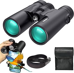 10 Best Compact Binoculars for Hiking 11 718Mh wp10L. AC SL300