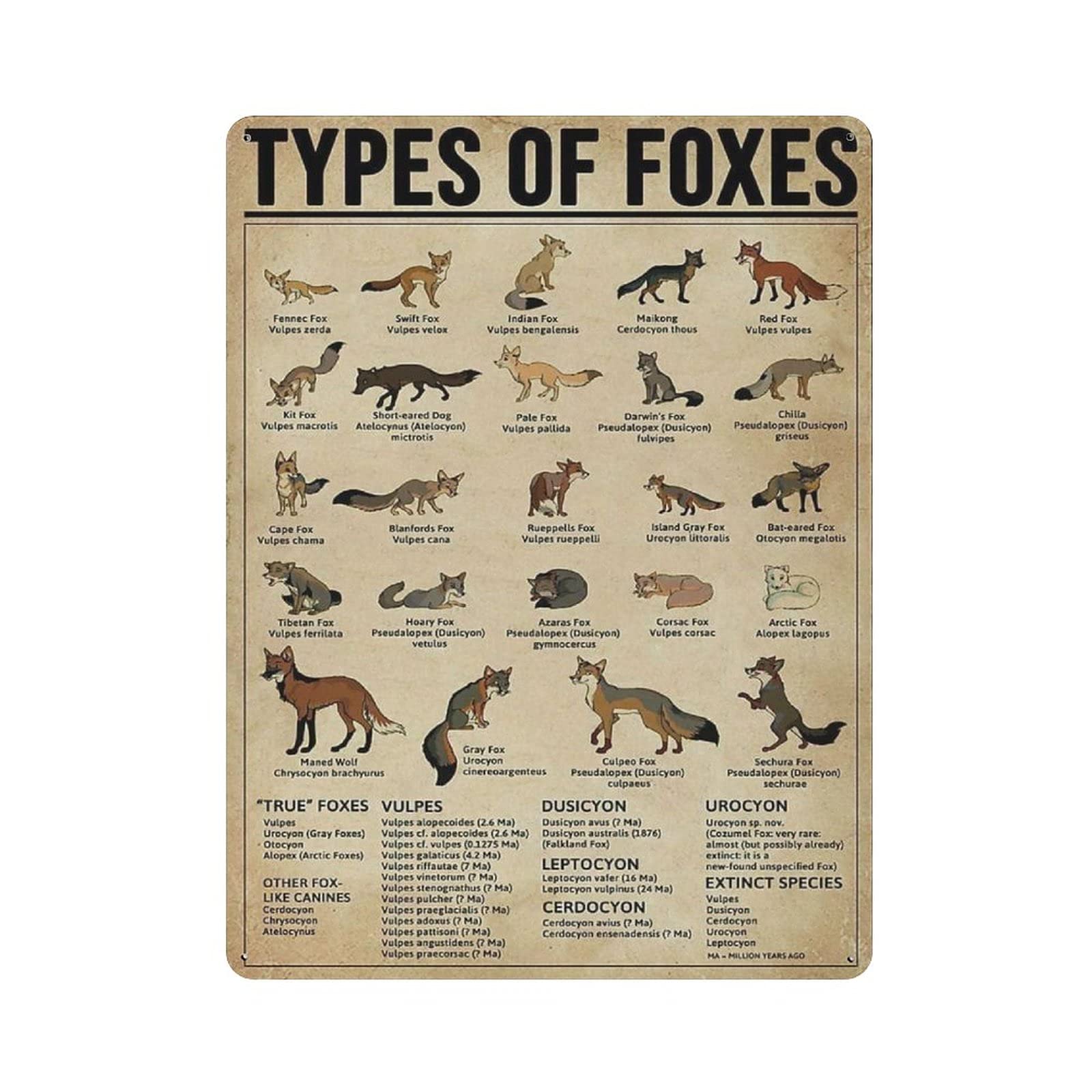 Metal Tin Sign Type Knowledge Graph of Fox Vintage Tin Poster Metal Sign Wall Decoration Country Kitchen Home Garage Decor 16"x12"