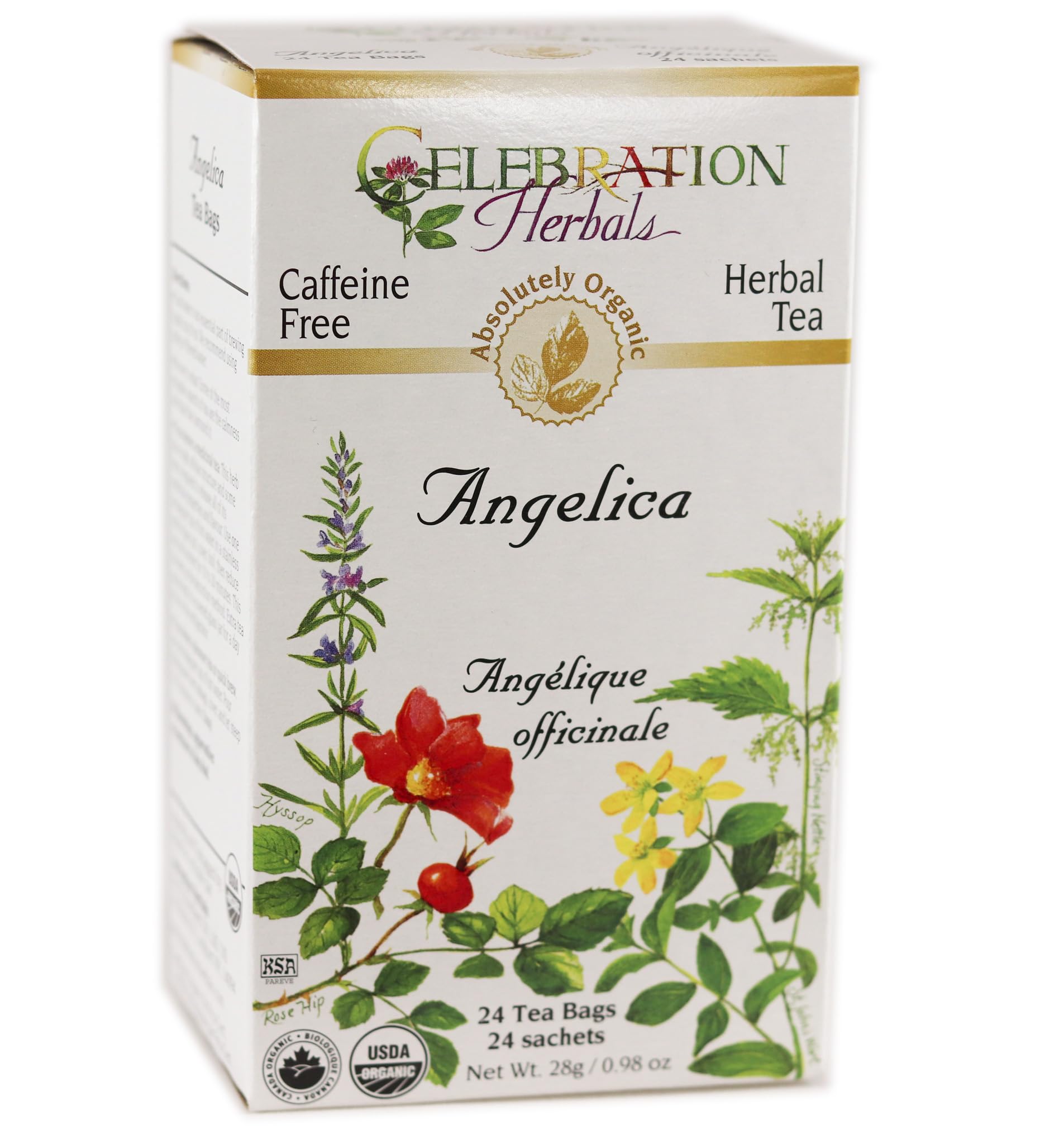 CELEBRATION HERBALS Angelica Root Organic 24 Bag, 0.02 Pound