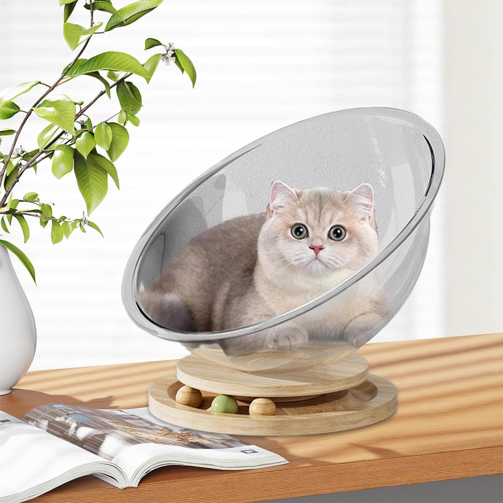 Perchoir pour chat – Hamac mignon pour fenêtre, reposant pour animal