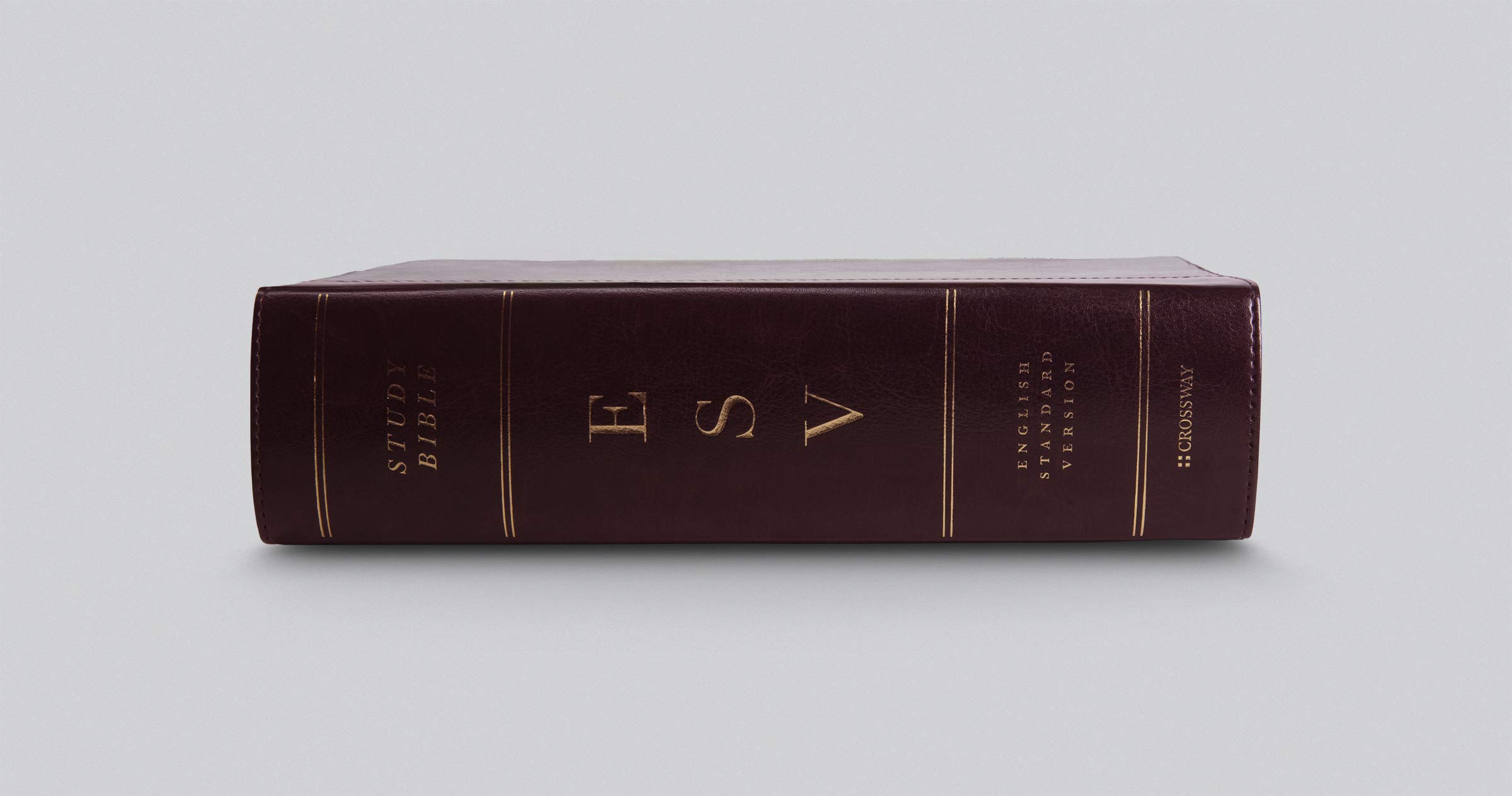 Holy Bible: English Standard Version, Trutone, Burgundy/Red, Timeless Design, Study