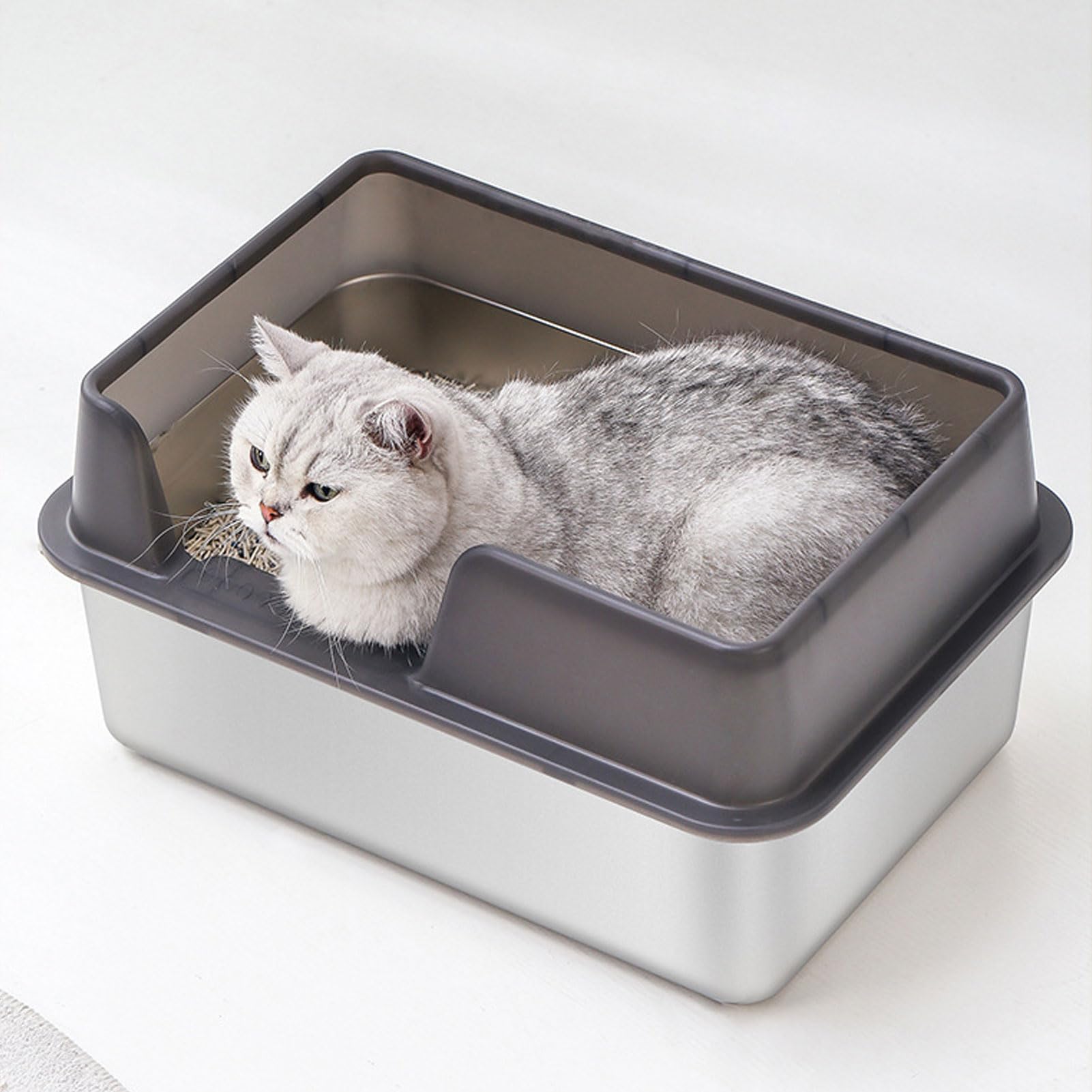 Roestvrij Stalen Kattenbak met Open Bovenkant, Hoge Zijkant Anti-spat Metalen Uitvoering, Groot met Schep, 19,7 X 13,8 X 9,8 Inch, voor Kleine en Middelgrote Katten (Large Roestvrij Stalen Kattenbak met Open Bovenkant, Hoge Zijkant Anti-spat Metalen Uitvoering, Groot met Schep, 19,7 X 13,8 X 9,8 Inch, voor Kleine en Middelgrote Katten (Large